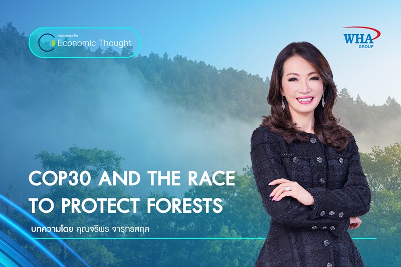 COP30 AND THE RACE TO PROTECT FORESTS