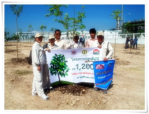 Page 2 Pictures from Tree Planting at Hemaraj Eastern Industrial Estate (Map Ta Phut) 26 November 2009